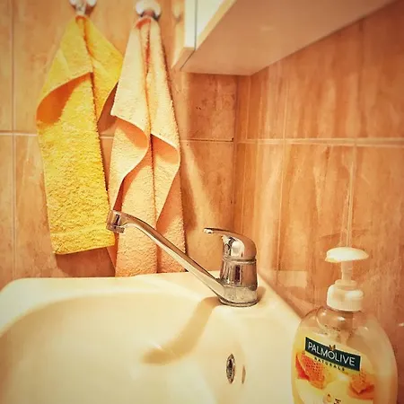 Ruzicin Dvor Apartament *