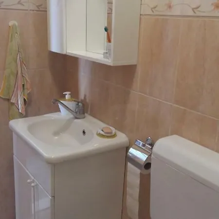 Ruzicin Dvor Apartment *