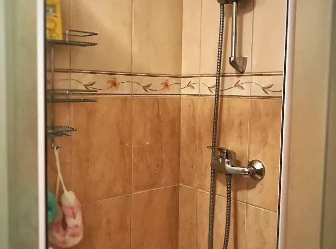 Ruzicin Dvor Apartament *